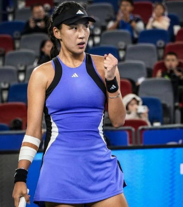 塞尔塔急需 塞尔塔急需