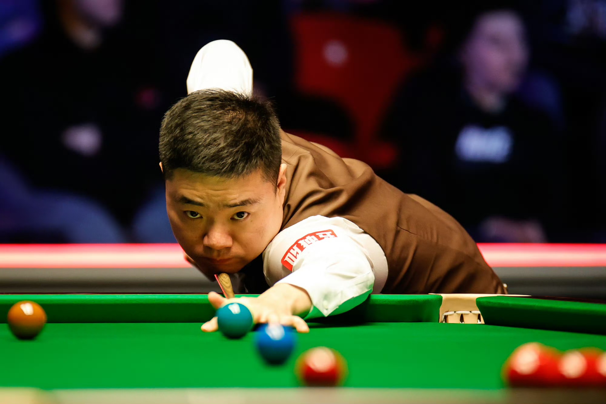 他们表现出 他们表现出